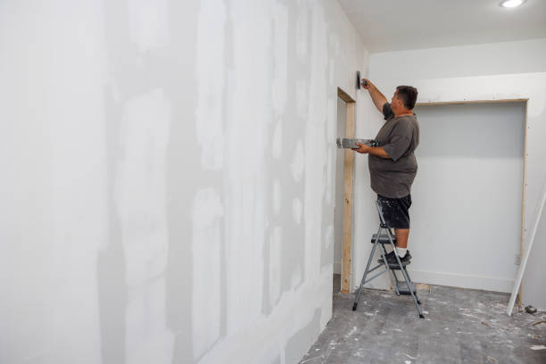 Best Wall Texturing and Painting  in USA